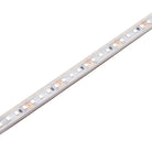 Saxby Lighting Orion67 48V | 4000K 7.2W/M 35M IP67 118825