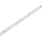 Saxby Lighting Orion20 48V | 4000K 18W/M 30M IP20 120339