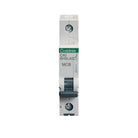 Crabtree Loadstar 40A SP MCB Type C 10kA 6HSL40C